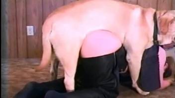 Curvy ass woman fucks with the dog until orgasm