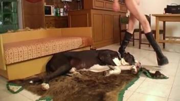Ginger babe passionately sucks off her pooch