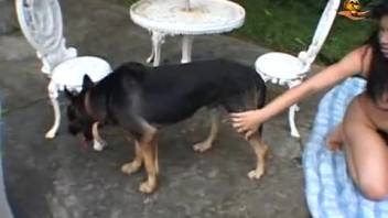 Elegant Latin beauty enjoys getting naughty with well-behaved canines