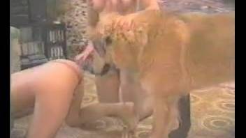 Genuine homemade amateur bestiality involving animals and hotties