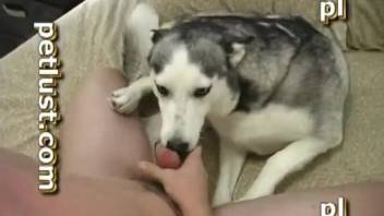 Wild animal lover pounds his adorable pet in the bedroom