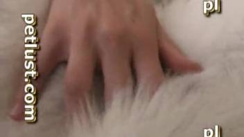 Intense sexual encounter involving a man and his dog in domestic zoophilia