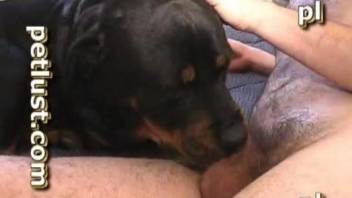 Severe sex with a man and his dog in home zoophilia