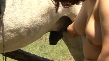 Voluptuous mature woman with a curvy rear pounded by an aroused stud