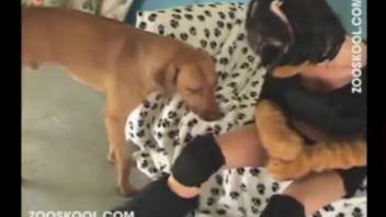 Authentic homemade bestiality video with a promiscuous mature woman