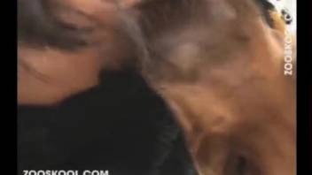 Stunning babe is blowing the massive cock of her adorable pup