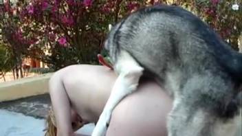 Ponytailed babe slurping on this mutt's thick cock on webcam