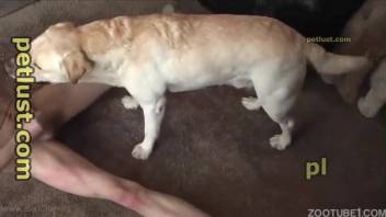 Extremely frisky bitch enjoys filthy animal sex with her master