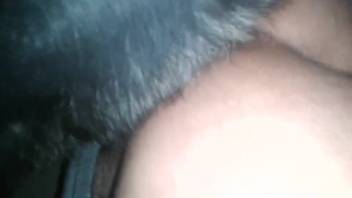 Hot ebony submissive laps at a moist anus in the close-up shot