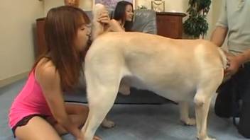 Pair of Asian beast-lovers blowing dogs and getting screwed