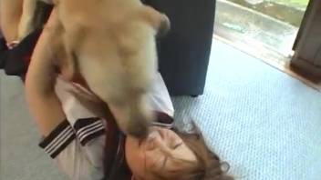 Asian babe expertly fellates her cute puppy in a close shot
