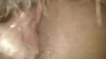 Filthy anal sex action with a hairy doggy in close-up