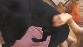 Slender Japanese sweetheart loves twisted canine zoophilia