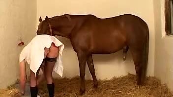 Whitened animal-fetish whore gets pounded by magnificent chestnut stallion