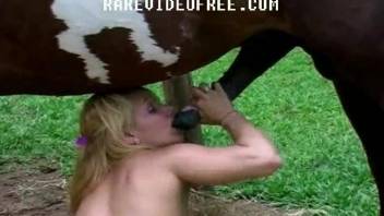 Blonde is sucking a tasty horse prick with passion and love
