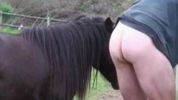 Massive horse cock banging this dude's asshole