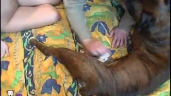 Attractive blonde with artificial breasts enjoys when the dog tongues her vagina.