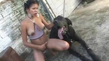 Voluptuous woman performs oral on a thick canine penis in the ancient barn