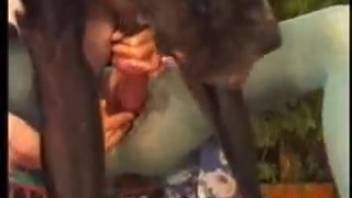 Canine pounds female's vagina roughly, making her yell out loud