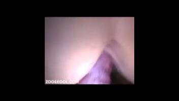 Ebony canine penetrates my slim spouse in amateur bestiality adult video XXX