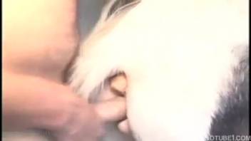 Hot pony is being thoroughly banged in the butt by an actual farmer