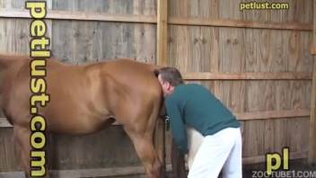 Man with a beast fetish bangs his white pony from behind