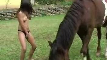 Playful chick with small tits and cute face sucks a stallion
