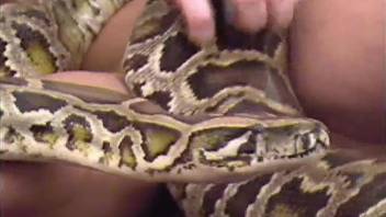 Exotic animality XXX with a family couple and a massive python