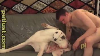 White dog gets anally fucked by crazy as hell zoophile