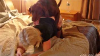 Canine with thick crimson cock banged a hot bestiality-loving whore