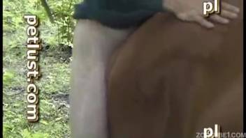 Rancher ass-fucked his pale stallion doggystyle