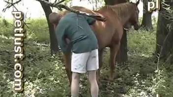 Amateur anal bestiality with a stallion and a rider
