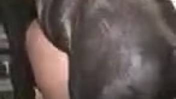 Intense barnyard bestiality XXX featuring a huge black horse