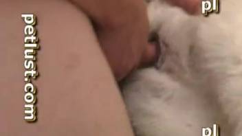 Siberian Husky and cute mistress in the nastiest anal zoophilia