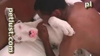 Black dog fucker and white pet have sex in the missionary pose