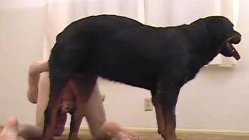 Sex-addicted dog hardly fucks a filthy owner in the doggy style pose