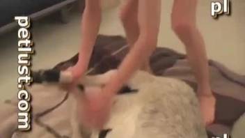 Lusty white animal gets nicely drilled a tight anal hole