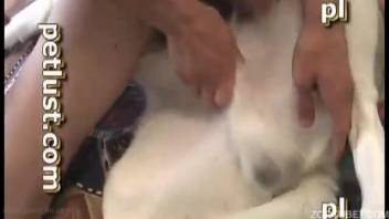 Educated Husky receives anal examination from deviant male beast-lover
