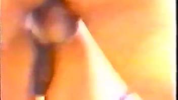 Man and woman engaging in oral sex with a horse's penis on the farm XXX