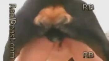 Fair-haired girl with small breasts loves rough doggy-style fucking
