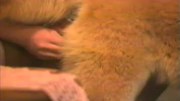 Astonishing shaggy dog penetrates an aroused owner in a detailed close-up view