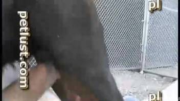 Gorgeous ebony canine and farmhand in the grimy outdoor bestiality scene