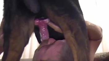 Stunning animal sex scene with a black dog and sexy zoophile lover