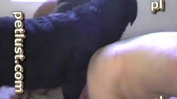 Black dog and horny male are enjoying animality XXX sex