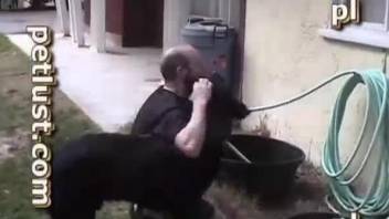 Bald man and trained black dog are fucking in filthy style