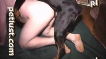 Black dog and hot zoophile have nice sex in doggy style