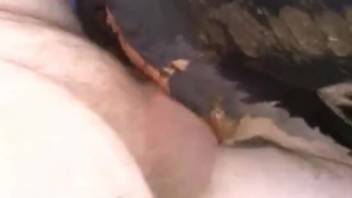 Hung beast-fucker ravaging that creature's orifice