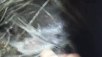 Inquisitive guy softly fingers beast's rear hole