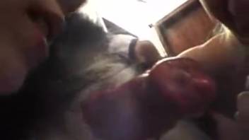 Voluptuous vixens dividing the canine penis during initial webcam bestiality