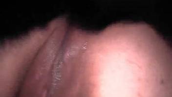Ebony canine fills its aroused mistress with cum on webcam